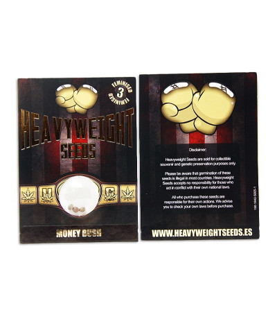 Сорт Money Bush fem (Heavyweight Seeds) Сорт Money Bush fem (Heavyweight Seeds) — изображение 2