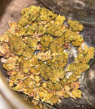 Сорт Garlic Cookies fem (Barney's Farm) Сорт Garlic Cookies fem (Barney's Farm) — изображение 10