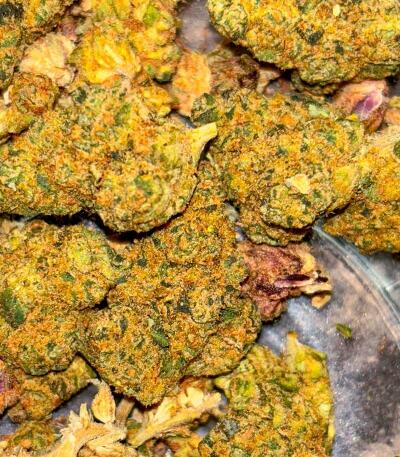 Сорт Garlic Cookies fem (Barney's Farm) Сорт Garlic Cookies fem (Barney's Farm) — изображение 7
