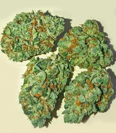 Сорт Gorilla 4 Autoflower fem (Easy Grow Seeds) Сорт Gorilla 4 Autoflower fem (Easy Grow Seeds) — изображение 6