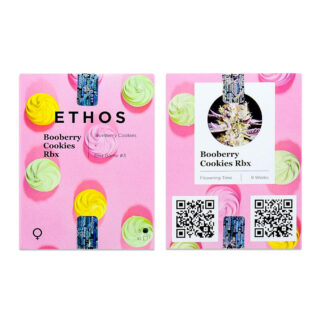 Сорт Booberry Cookies RBX fem (Ethos Genetics) Сорт Booberry Cookies RBX fem (Ethos Genetics)