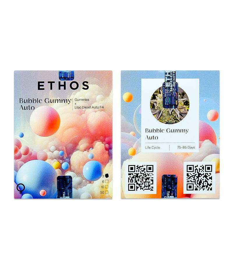 Сорт Bubble Gummy Auto fem (Ethos Genetics) Сорт Bubble Gummy Auto fem (Ethos Genetics)