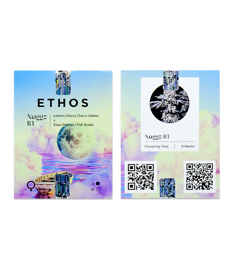 Сорт Nuggz R1 fem (Ethos Genetics) Сорт Nuggz R1 fem (Ethos Genetics)